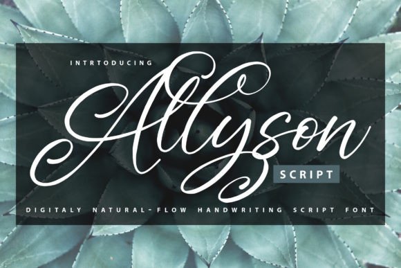 Allyson: The Script Font That Elevates Campaign Design