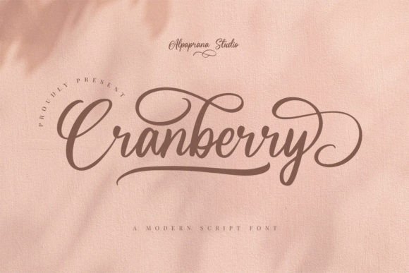 Cranberry Font for a Modern Editorial Touch