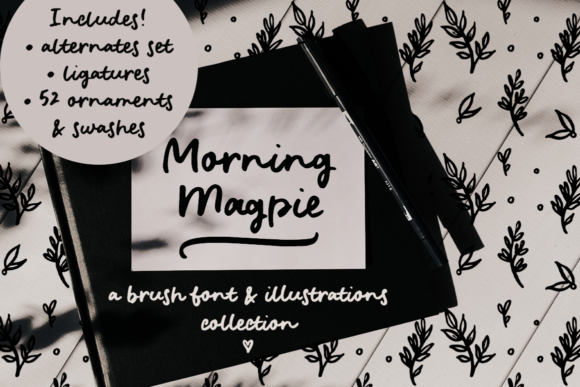 How Morning Magpie Elevated My Brand’s Typography