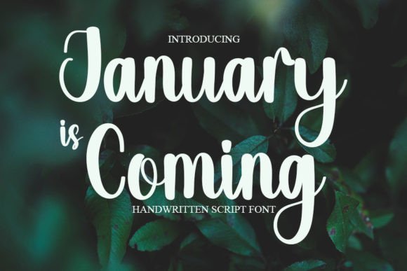 January is Coming Font Review: A Casual Script for Modern Branding
