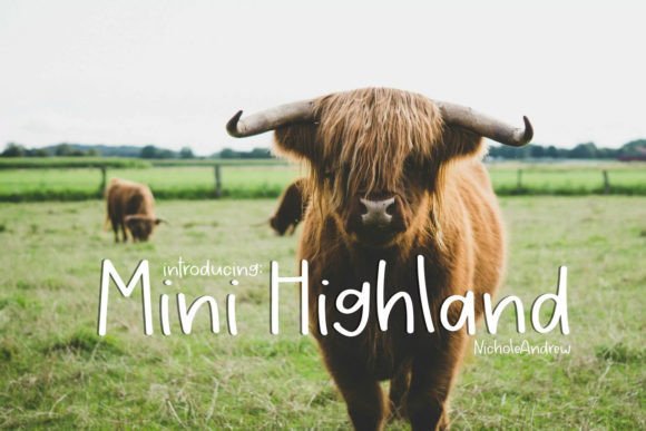 Mini Highland: A Handwritten Font for Thoughtful Editorial Design